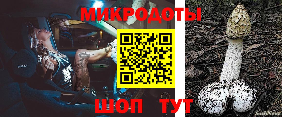 закладка  Псилоцибиновые грибы ЛСД  Псилоцибиновые грибы Cubensis  Вход с VPN  Карпинск 