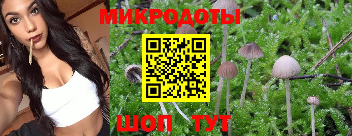 Псилоцибиновые грибы MAGIC MUSHROOMS Карпинск
